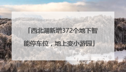 西北湖新增372个地下智能停车位，地上变小游园
