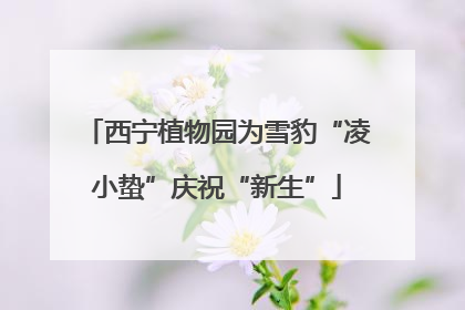 西宁植物园为雪豹“凌小蛰”庆祝“新生”