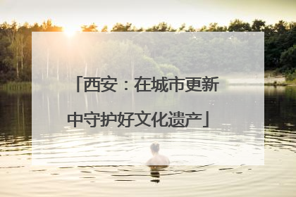 西安：在城市更新中守护好文化遗产