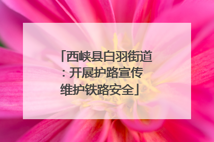 西峡县白羽街道：开展护路宣传 维护铁路安全