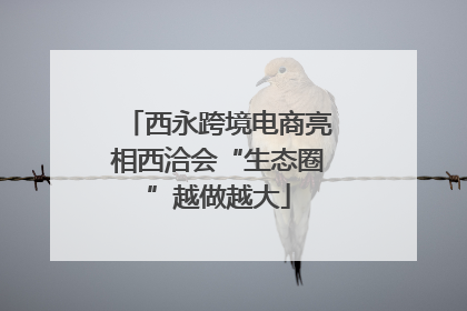 西永跨境电商亮相西洽会“生态圈”越做越大