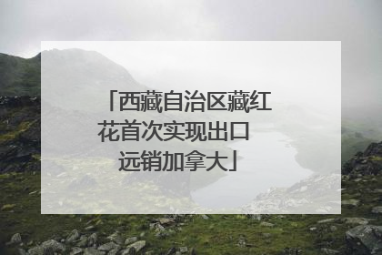 西藏自治区藏红花首次实现出口 远销加拿大