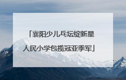 襄阳少儿乓坛绽新星 人民小学包揽冠亚季军