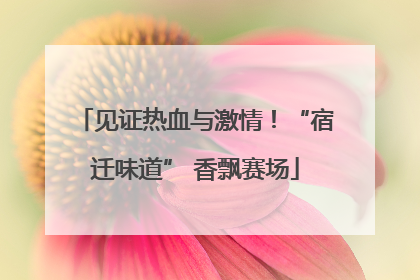 见证热血与激情！“宿迁味道” 香飘赛场