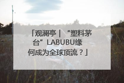 观澜亭｜“塑料茅台”LABUBU缘何成为全球顶流？