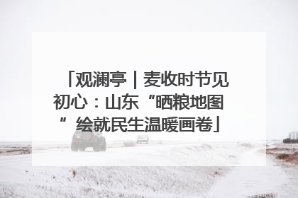 观澜亭｜麦收时节见初心：山东“晒粮地图”绘就民生温暖画卷
