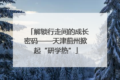 解锁行走间的成长密码——天津蓟州掀起“研学热”