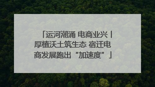 运河潮涌 电商业兴丨厚植沃土筑生态 宿迁电商发展跑出“加速度”