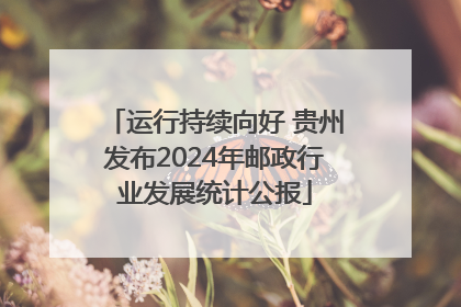 运行持续向好 贵州发布2024年邮政行业发展统计公报