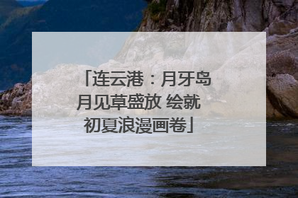 连云港：月牙岛月见草盛放 绘就初夏浪漫画卷