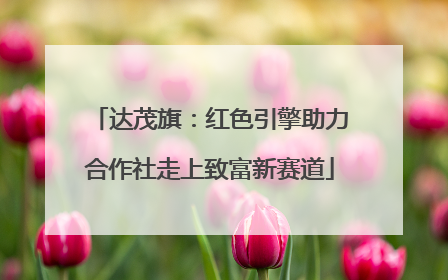 达茂旗：红色引擎助力合作社走上致富新赛道