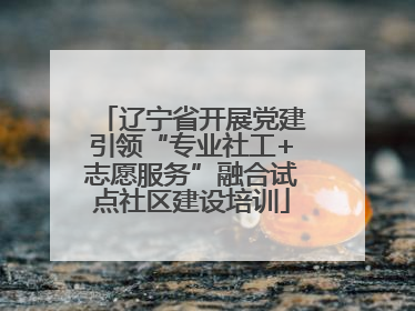 辽宁省开展党建引领“专业社工+志愿服务”融合试点社区建设培训