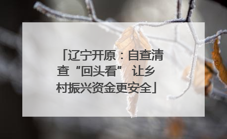 辽宁开原：自查清查“回头看” 让乡村振兴资金更安全