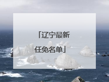 辽宁最新任免名单