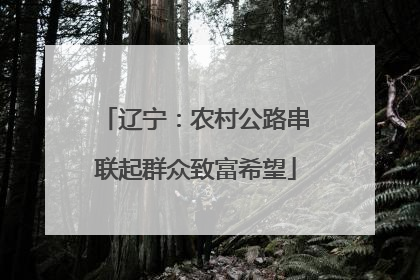 辽宁：农村公路串联起群众致富希望