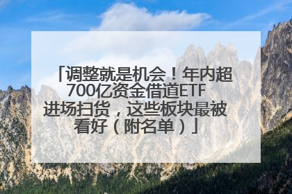 调整就是机会！年内超700亿资金借道ETF进场扫货，这些板块最被看好（附名单）