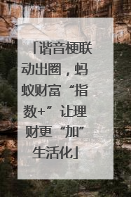 谐音梗联动出圈，蚂蚁财富“指数+”让理财更“加”生活化