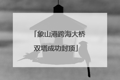 象山港跨海大桥双塔成功封顶