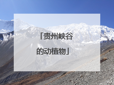 贵州峡谷的动植物
