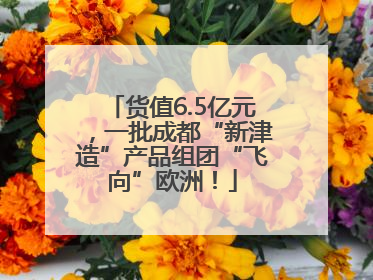货值6.5亿元，一批成都“新津造”产品组团“飞向”欧洲！
