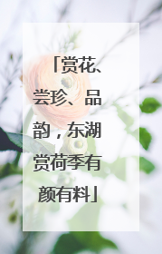 赏花、尝珍、品韵，东湖赏荷季有颜有料
