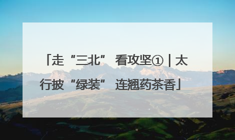 走“三北” 看攻坚①｜太行披“绿装” 连翘药茶香
