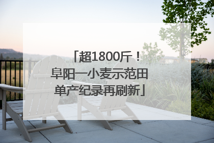 超1800斤！阜阳一小麦示范田单产纪录再刷新