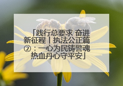 践行总要求 奋进新征程丨执法公正篇②：一心为民铸警魂 热血丹心守平安