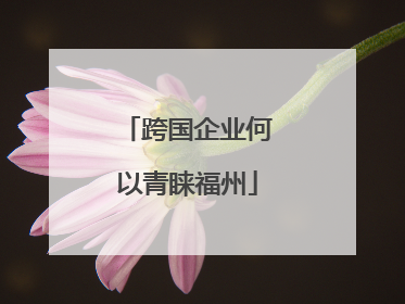 跨国企业何以青睐福州