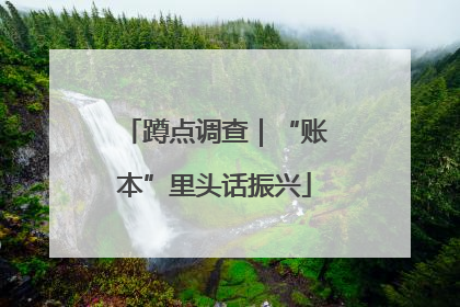 蹲点调查｜“账本”里头话振兴
