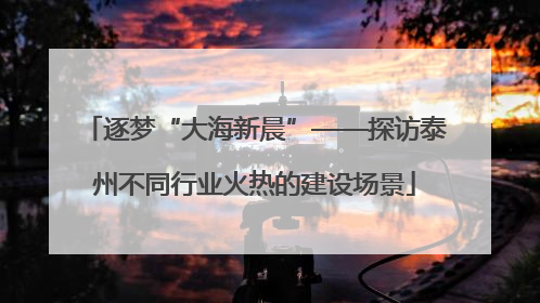 逐梦“大海新晨”——探访泰州不同行业火热的建设场景