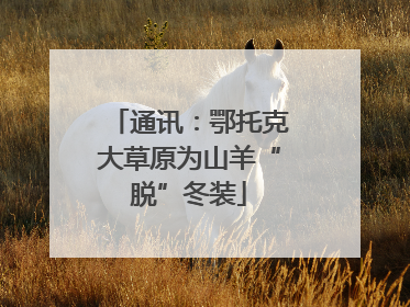通讯：鄂托克大草原为山羊“脱”冬装