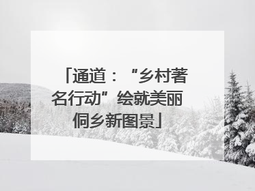 通道：“乡村著名行动”绘就美丽侗乡新图景