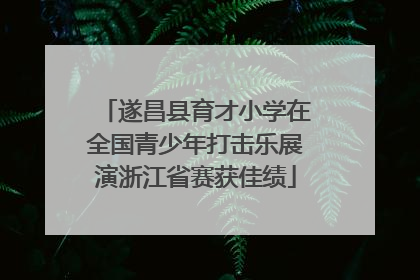遂昌县育才小学在全国青少年打击乐展演浙江省赛获佳绩