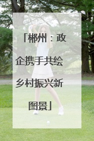 郴州：政企携手共绘乡村振兴新图景