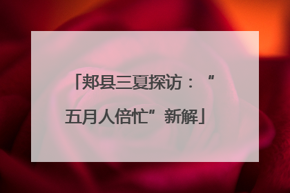 郏县三夏探访：“五月人倍忙”新解