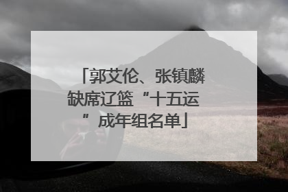 郭艾伦、张镇麟缺席辽篮“十五运”成年组名单