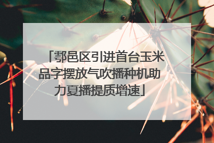 鄠邑区引进首台玉米品字摆放气吹播种机助力夏播提质增速