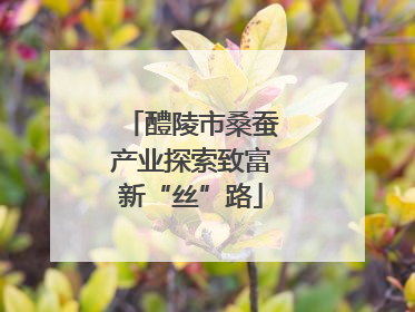 醴陵市桑蚕产业探索致富新“丝”路