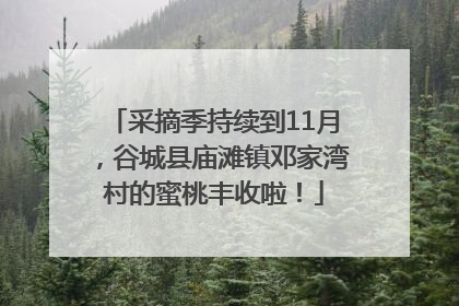 采摘季持续到11月，谷城县庙滩镇邓家湾村的蜜桃丰收啦！