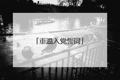 重温入党誓词