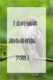 金叶铺就湖南桑植振兴路