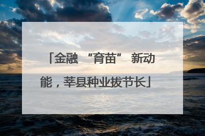 金融 “育苗” 新动能，莘县种业拔节长
