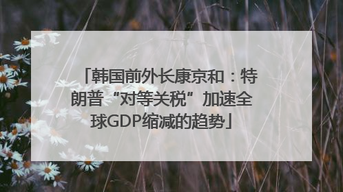 韩国前外长康京和：特朗普“对等关税”加速全球GDP缩减的趋势