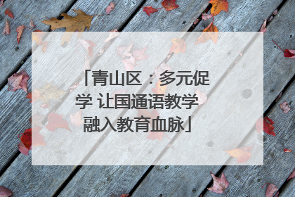 青山区：多元促学 让国通语教学融入教育血脉