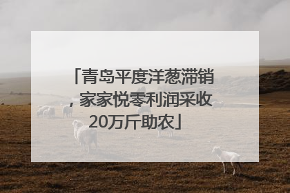 青岛平度洋葱滞销，家家悦零利润采收20万斤助农