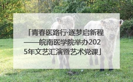 青春医路行·逐梦启新程——皖南医学院举办2025年文艺汇演暨艺术党课