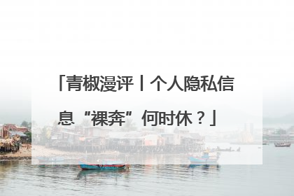 青椒漫评丨个人隐私信息“裸奔”何时休？
