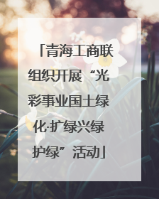 青海工商联组织开展“光彩事业国土绿化·扩绿兴绿护绿”活动