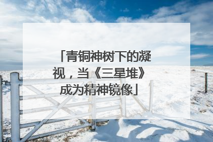 青铜神树下的凝视，当《三星堆》成为精神镜像